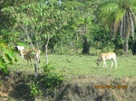 31827IMG_5428.JPG