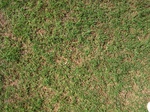 8758DSCI1942.JPG