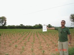 12363004a-irrigation(groundwater)-cotton-sorgum-rice-fruits-grasses.gif