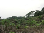 45326CIMG2411.JPG