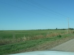 28953P1060033.JPG