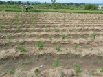18668P1000506.JPG