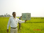 11401gt163-cropland-1.jpg
