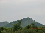34753CIMG2581.JPG