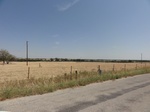 34989DSC01891.JPG