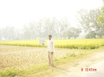 6554gt056-cropland-1.jpg