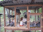31837IMG_5317.JPG