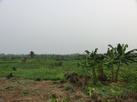 50780CIMG1409.JPG