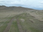 22860P1020100.JPG