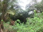 48142CIMG4479.JPG