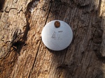 8601IMG_1226.JPG