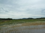 55089Berau (407).JPG