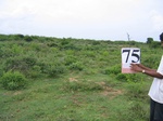 1180375-scrubland-1yr-1m-a.gif