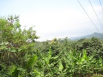 15837IMG_4377.JPG