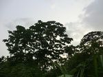 45791CIMG2876.JPG