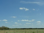 35116DSC02321.JPG