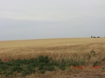 29836CIMG1270.JPG