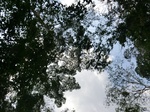 46586CIMG0875.JPG