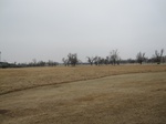 9746IMG_0023.JPG