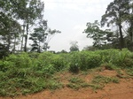 48975CIMG5312.JPG