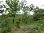 18630P1000468.JPG