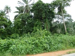 18269P1000105.JPG
