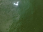 58377CIMG2826.JPG