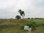 7708gt0119b-cropland-rainfed-supplemental.jpg
