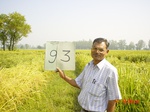 6626gt093-cropland-1.jpg
