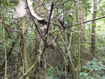 50200DSC01999.JPG