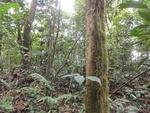 50249DSC02050.JPG