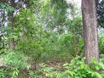1717320042008(10).JPG