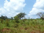 19798P1010647.JPG