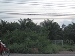 33686IMG_5906.JPG