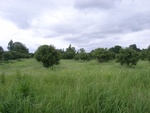 33401RIMG0141.JPG