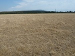 36108P1050117.JPG