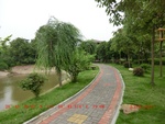 38982CIMG4693.gps.jpg