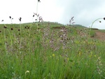 23832P1040916.JPG