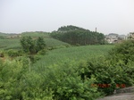 33181CIMG2419.JPG