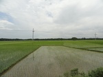 22102DSC00343.JPG