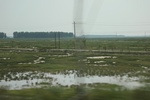 2024-08-05_16-08-59_ECCDE37A-B87D-4287-8AB6-126E324E45AF.jpeg