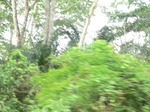 48168CIMG4505.JPG