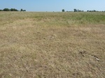 36090P1040922.JPG