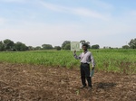 9406gt80b_cropland_maize.gif