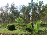 31243CIMG1105.JPG