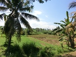 30266CIMG1800.JPG