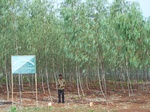 17353100_2039.JPG