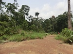 47134CIMG3471.JPG