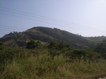 8992RIMG0068.JPG