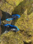 2025-05-21_10-09-12_IMG_7774.jpeg